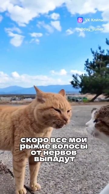 1000258144.mp4