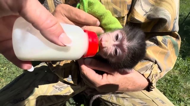 Анфиса как раньше Люся просто бежит по дорожкам за Владом как хвостик)))