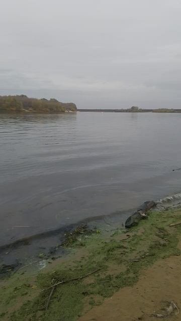 Рязань река Ока, октябрь 2025