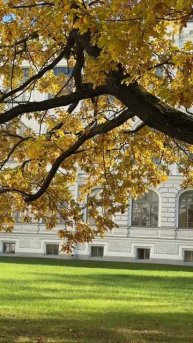 Осенний кампус 🍁