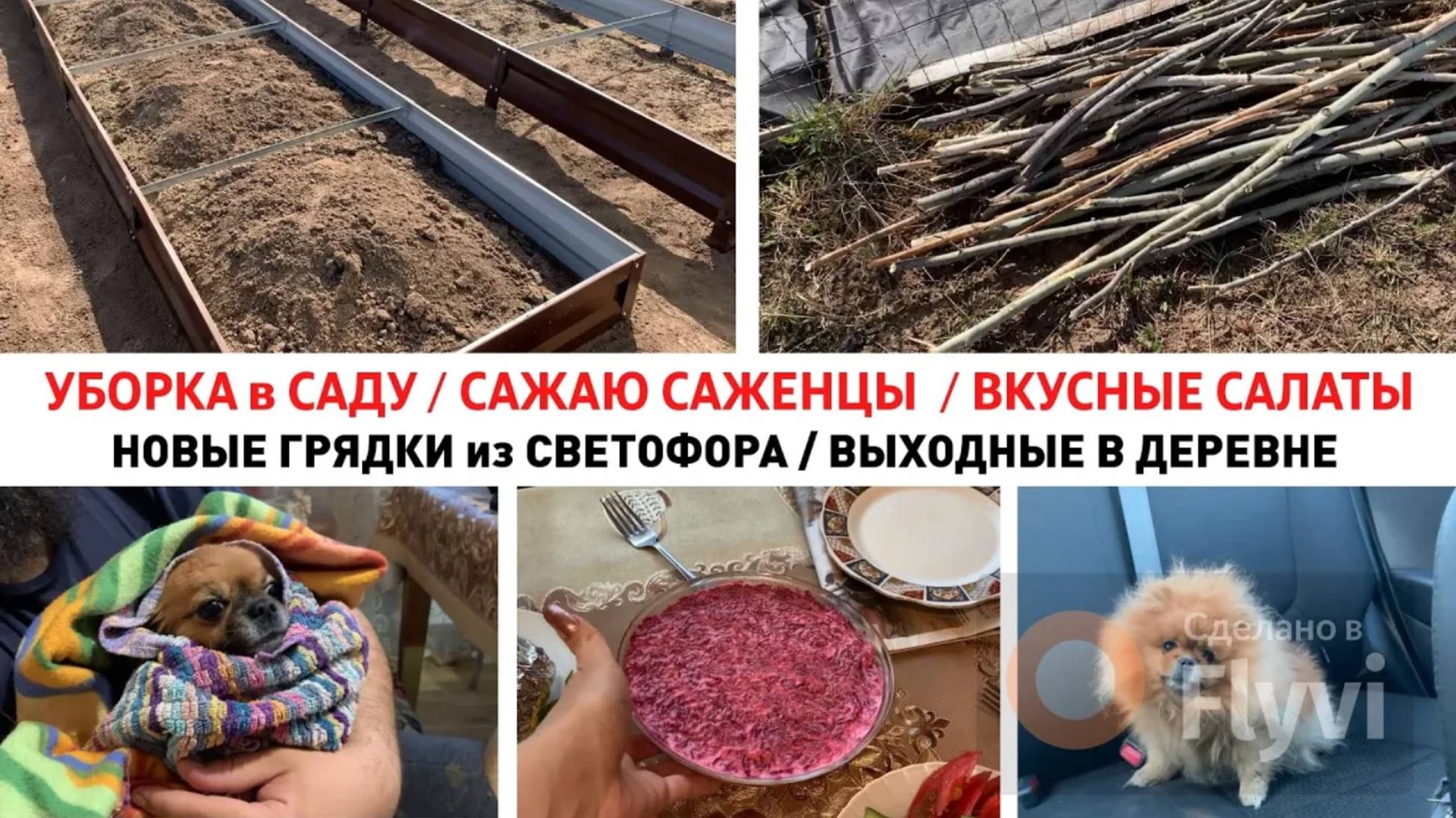 ГРЯДКИ из СВЕТОФОРА _ УБОРКА в САДУ _ САЖАЮ САЖЕНЦЫ _ ВКУСНЫЕ САЛАТЫ _ ВЫХОДНЫЕ В ДЕРЕВНЕ