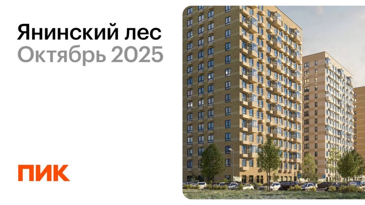 Янинский лес 20.10.2025