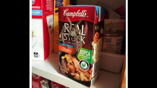 Видео про животных, как раз к Хэллуину:)