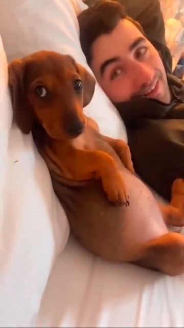 ЖИВОТНЫЕ-ЮМОР😂😂😂