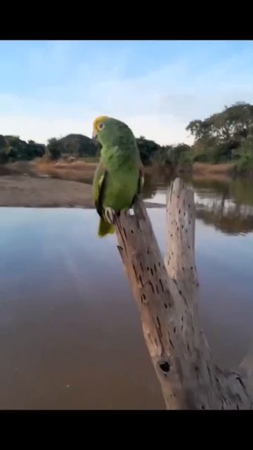 😅😅😅Когда тебе за 50.