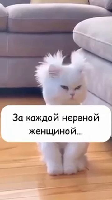 ЭТИ ЖИВОТНЫЕ😂😂😂😂😂