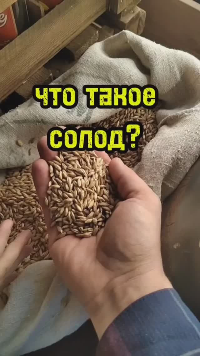 Что такое солод?