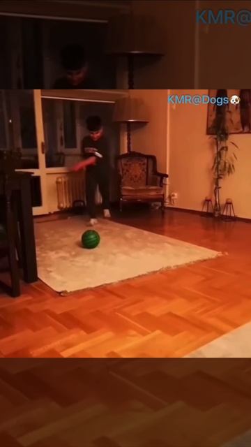 Профессиональный голкипер🏟️😂