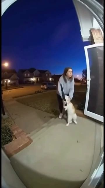 Клип @potexclips