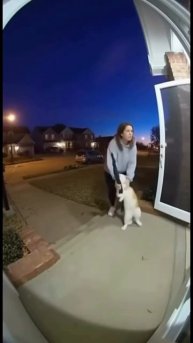 Клип @potexclips