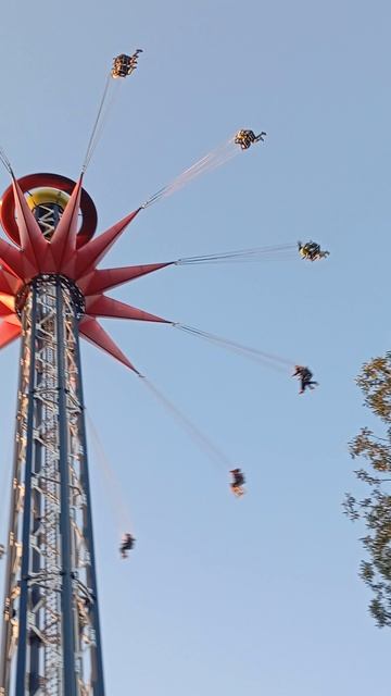 карусели, карусели🎡