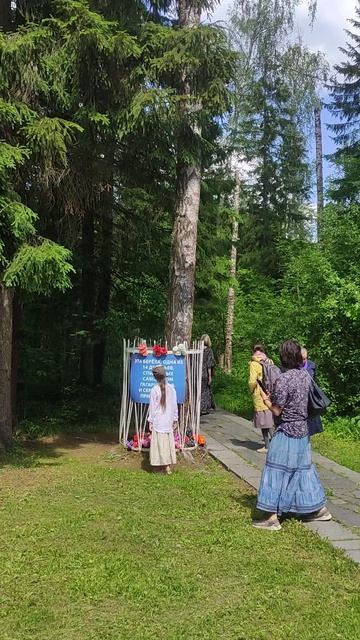 1000009507.На месте крушения самолёта.Гагарин.Ю Серёгин В.08.06.23.г