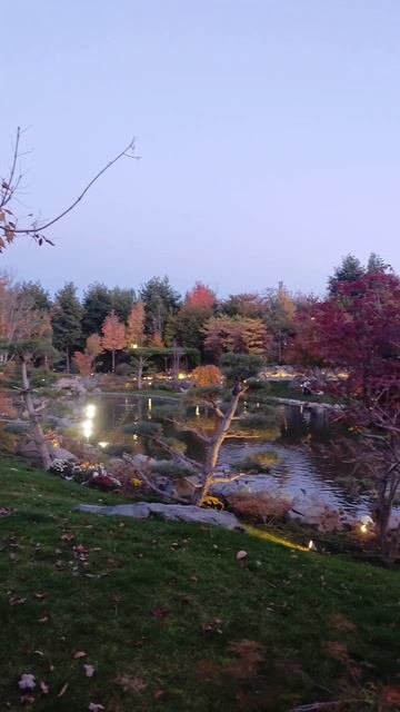 красная осень в японском саду Краснодара