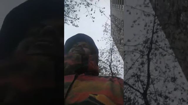 Мы идём гулять с собакой! | 29-окт-2025