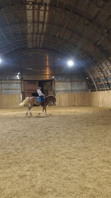 Анна и Каспер, серпантин четыре петли на галопе с переменой в манеже.