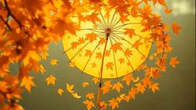 Зонт упал (cover)