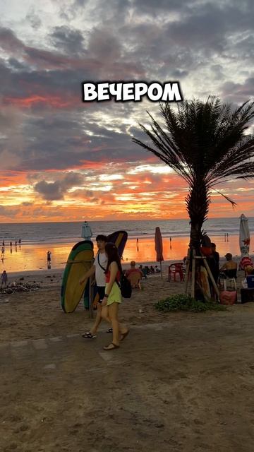 Вот такая чунга чанга🌴🐊