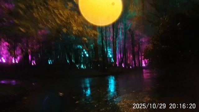 test-2025-10-29_204332