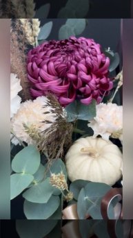 Музыка осени