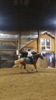 Даша и Каспер, галоп по стенке в манеже.