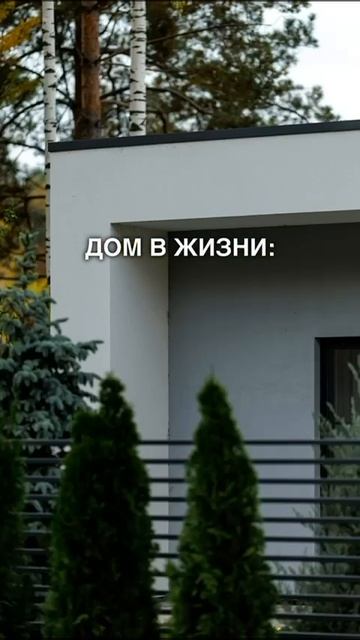 "Новая Берёзка"