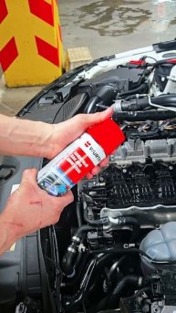 Мойка М3. Мойка двигателя паром + термолак