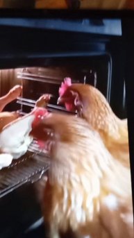 Саня ты в порядке?(#