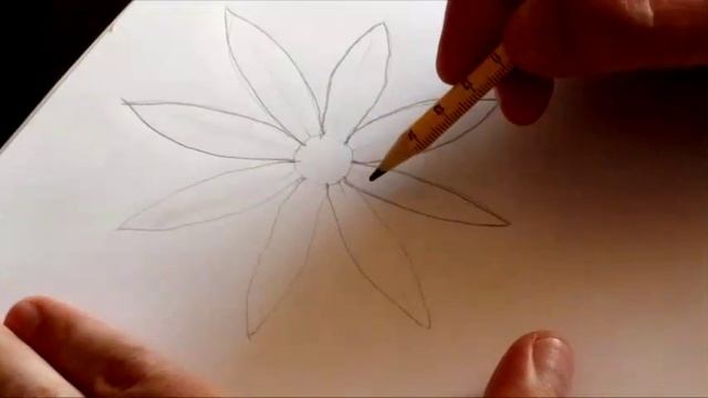 Занятие по мультипликации - Рисуем цветок