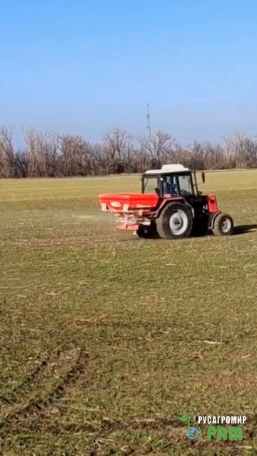 Эх, красота то какая! Лепота!