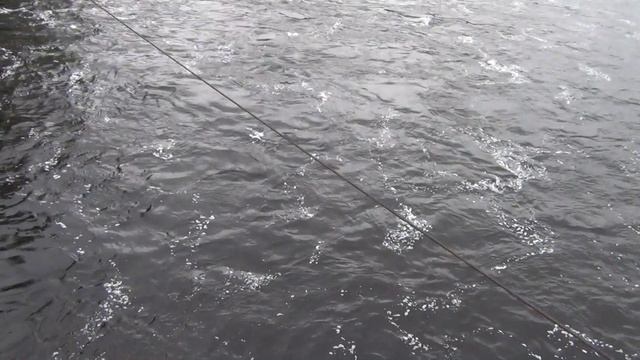 vatravel.ru Подвесной мост в Ёгле (деревня Новгородской области)