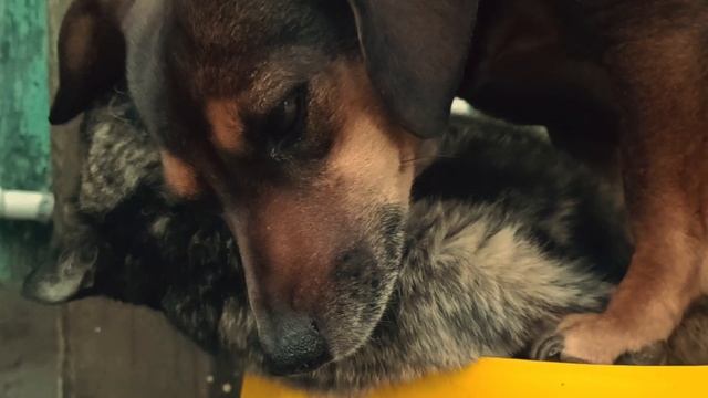 С Днём Рождения меня)