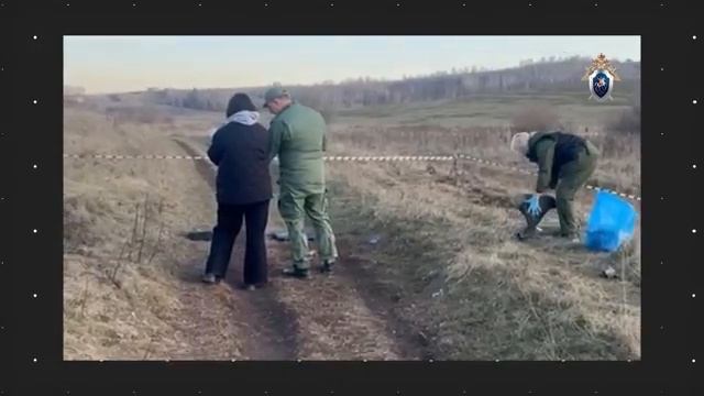 Собаки загрызли мальчика