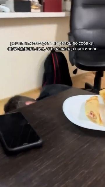 Эту ерунду ешьте сами!