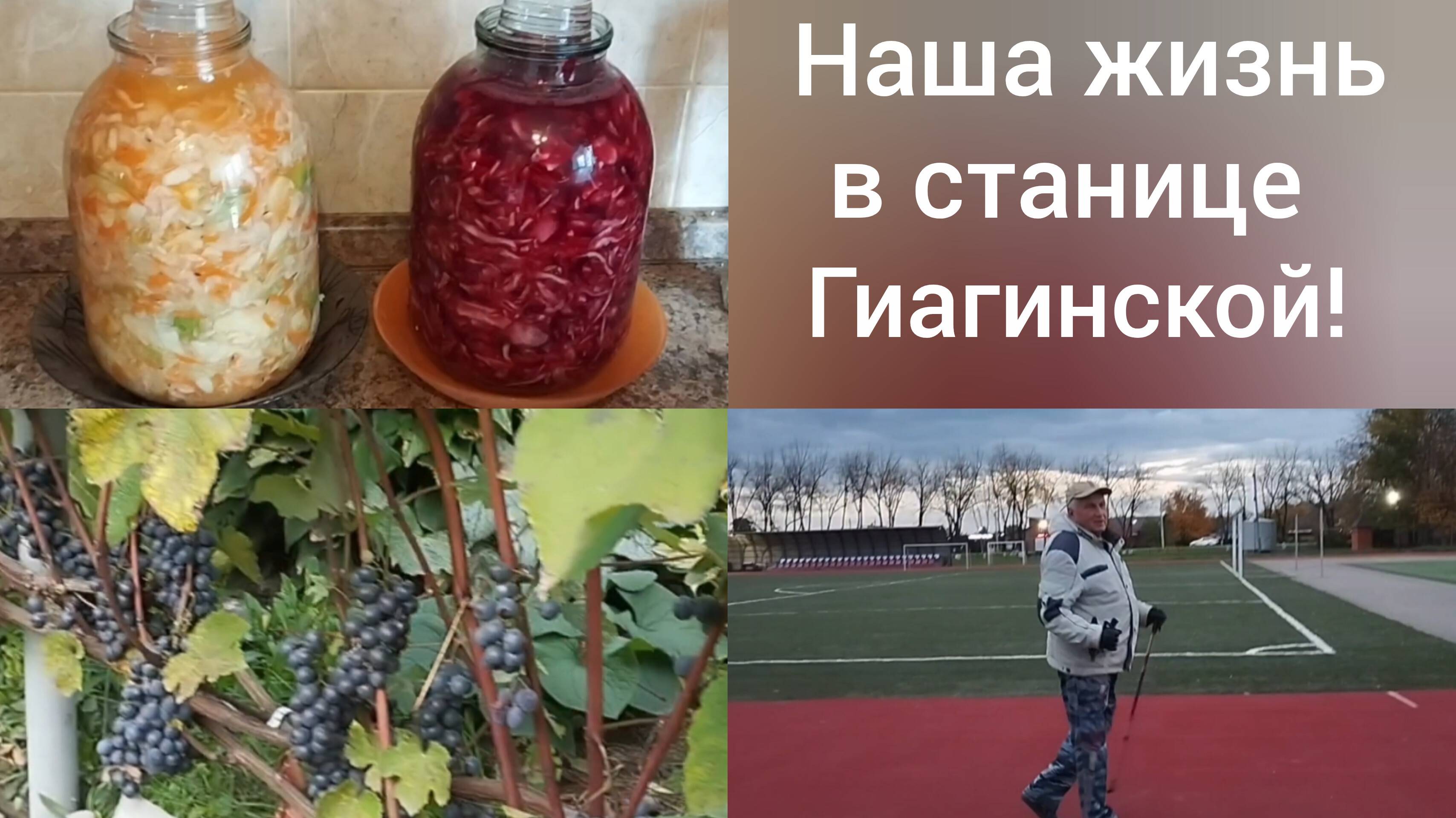 Наша жизнь в Адыгее/Посолила капусту/Сад еще зеленый/Оздоровительная ходьба на стадионе/