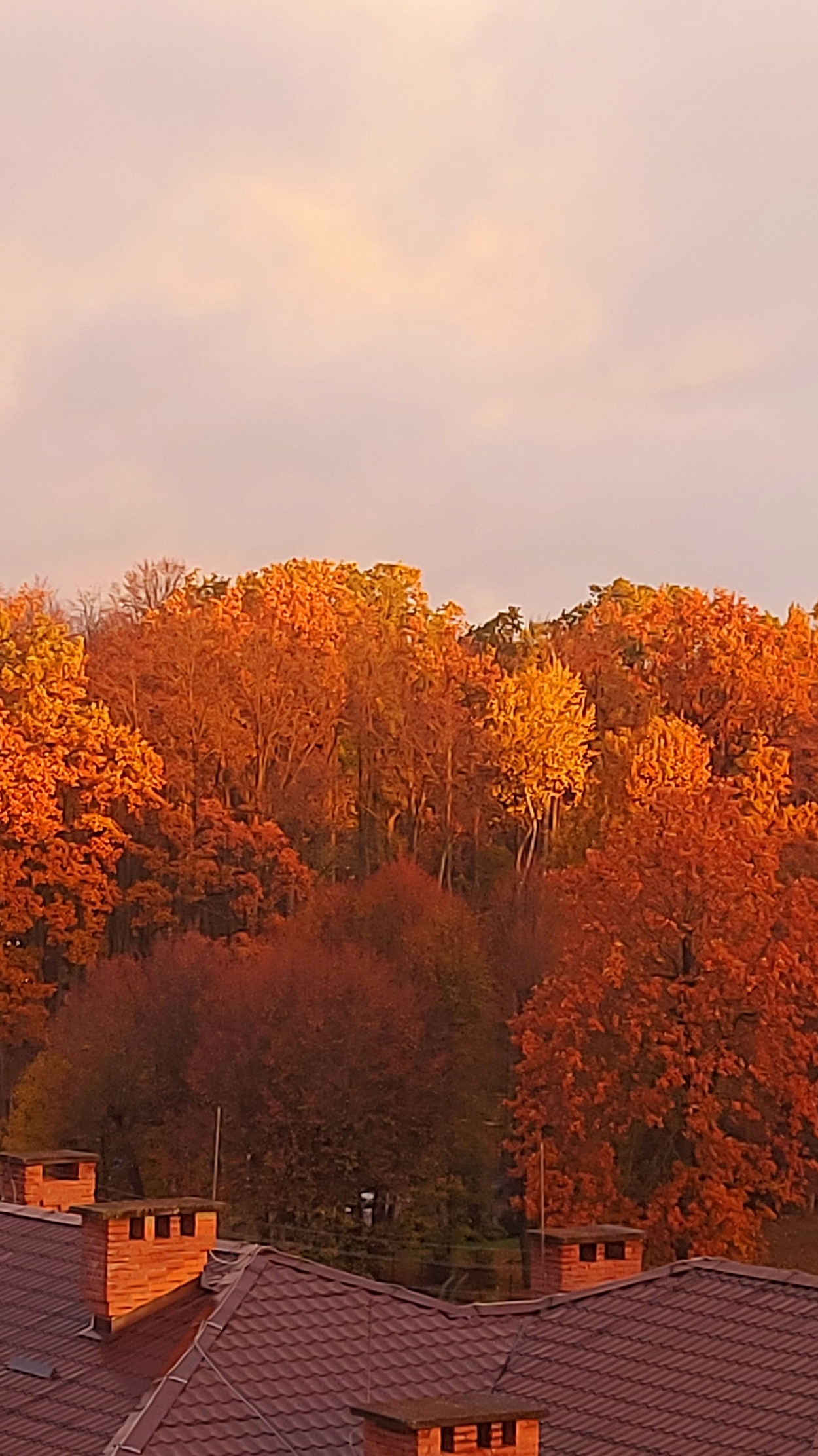 Доброе утро октября🍂🍁🌇Хорошего всем дня🤗