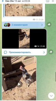 мой телеграм канал 2