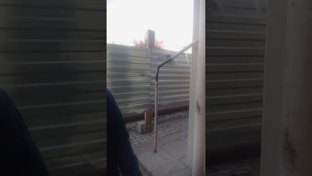 Артем съел всю пачку Black челлендж сразу!