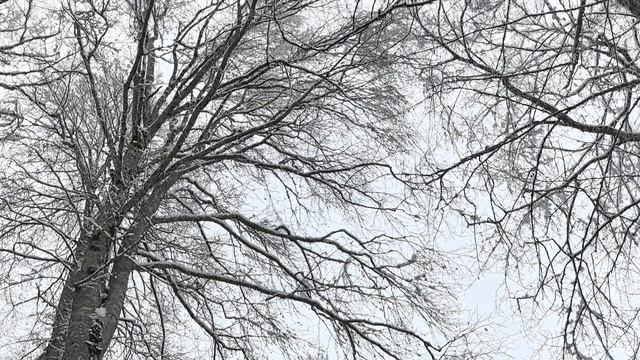 опасное место тут