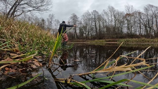 РЫБАЛКА НА ПОПЛАВОЧНУЮ УДОЧКУ В ОКТЯБРЕ