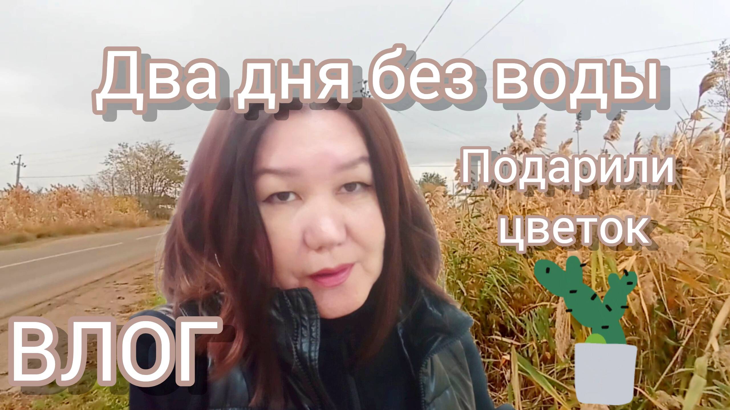 Отключили воду 🙈Не получается продлить страховку 😫Кручусь, как белка в колесе 🌪🐿