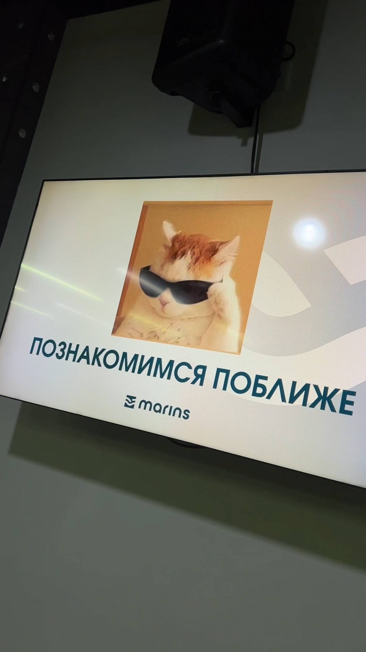 Погружение в мир гостеприимства!