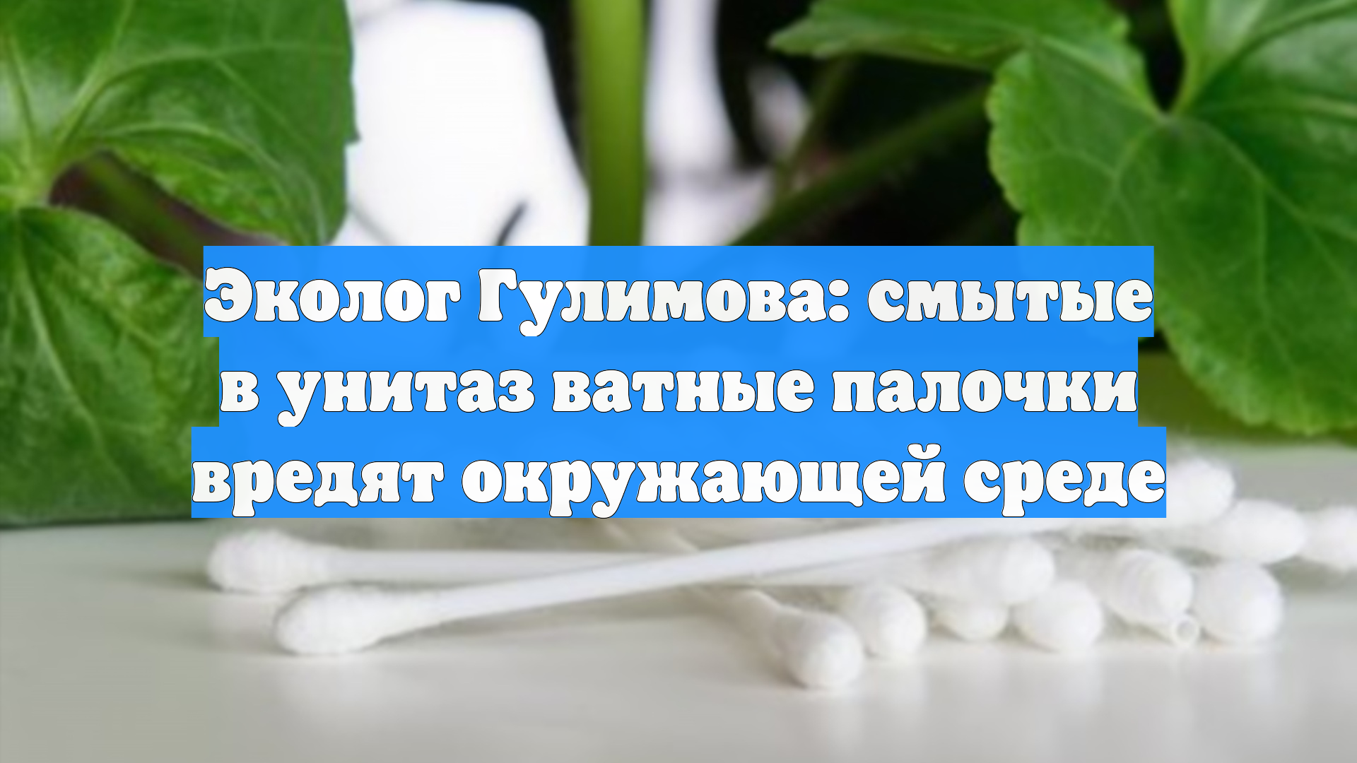 Эколог Гулимова: смытые в унитаз ватные палочки вредят окружающей среде
