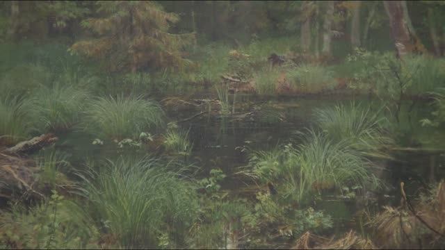 Акция "Ночь искусств” состоится в Тюменской области