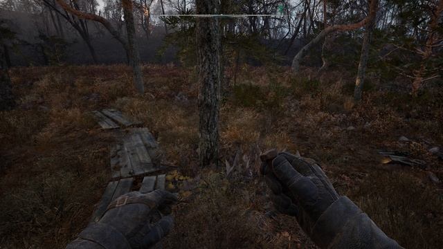 С.Т.А.Л.К.Е.Р. 2 -Аномальная активность №31