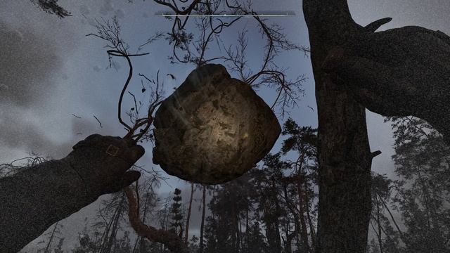 С.Т.А.Л.К.Е.Р. 2 -Аномальная активность №29