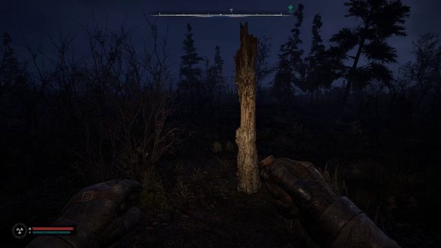 С.Т.А.Л.К.Е.Р. 2 -Аномальная активность №24