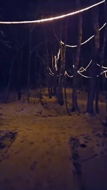 Зима на базе отдыха Bird Fish House