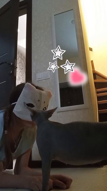 Maybe this cat is meet new friend! 😉