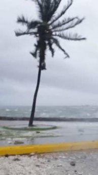 Вместо домов — руины