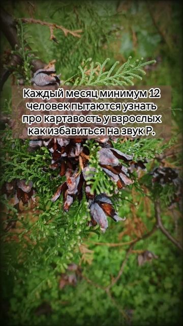 Каждый месяц минимум 12 человек пытаются узнать про картавость у взрослых как избавиться на звук Р.